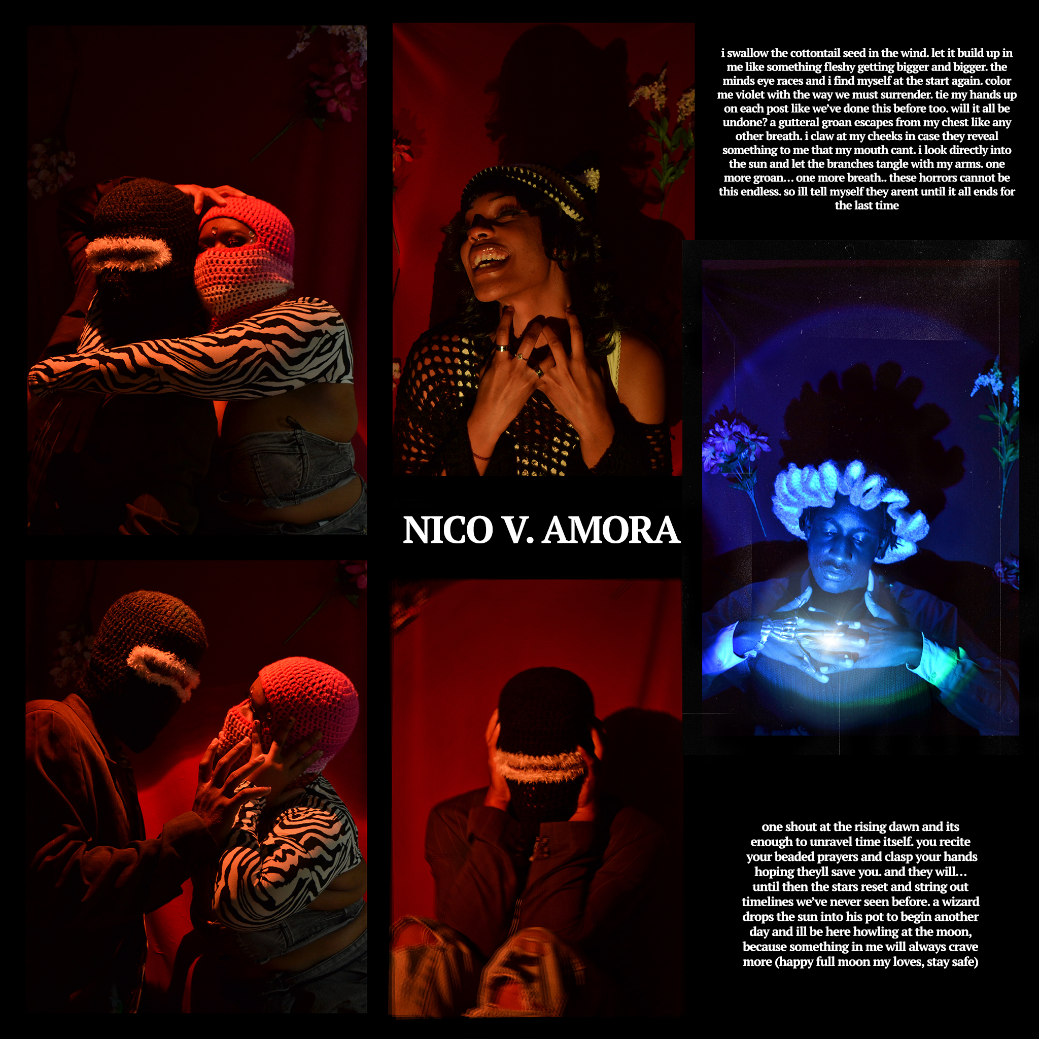 Nico Amora art 1